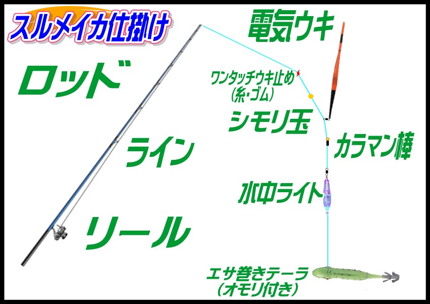 スルメイカ仕掛 釣り具レジャー用品専門店 アングラーズ