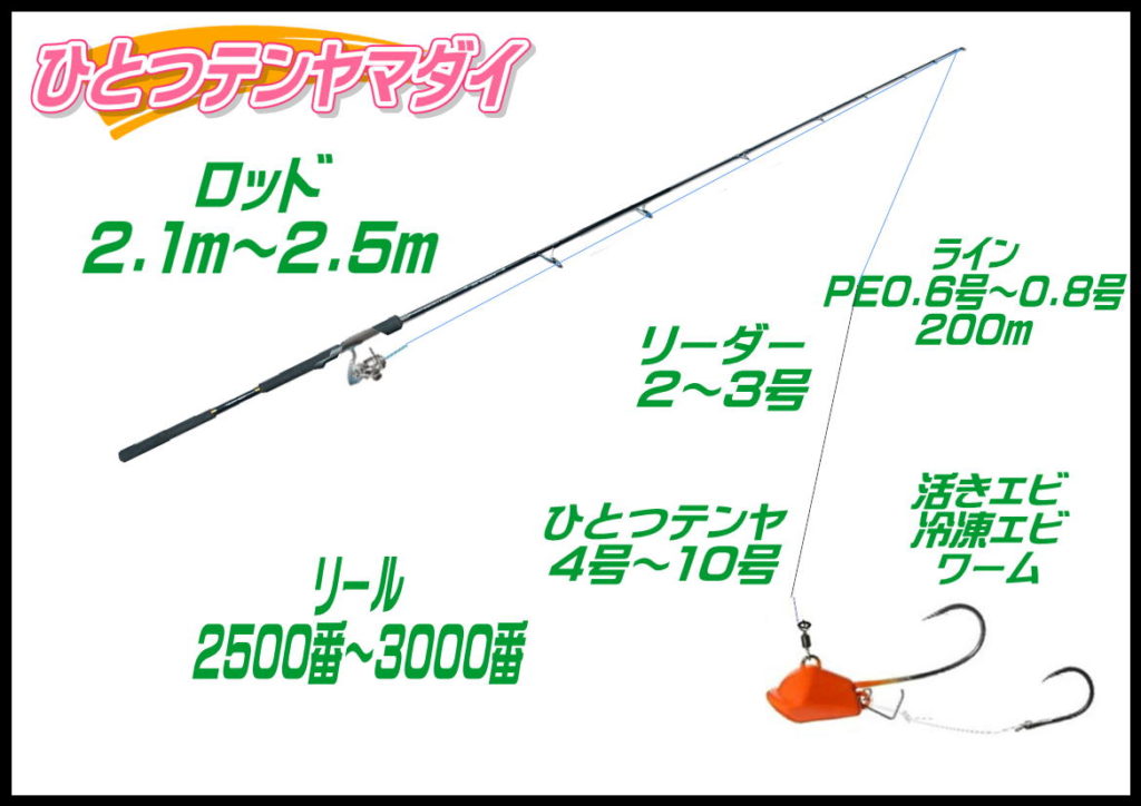 ひとつテンヤマダイ宇野沖 釣り具レジャー用品専門店 アングラーズ