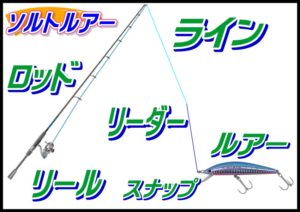 ソルトルアー　（シーバス）