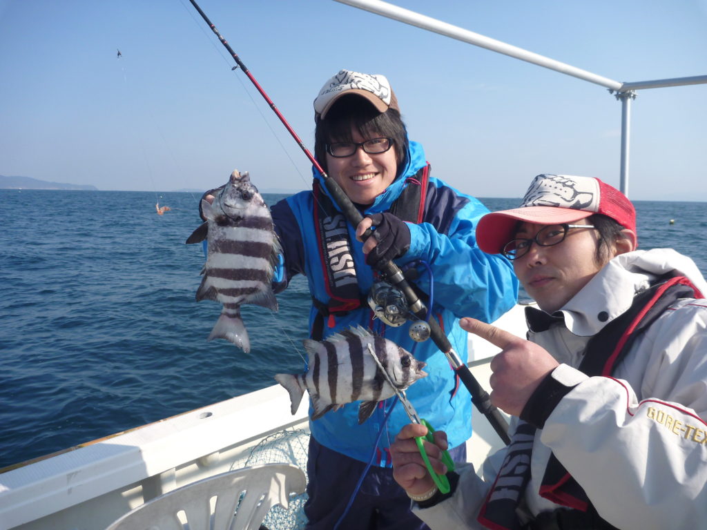 サンバソウ イシダイ稚魚 釣り具レジャー用品専門店 アングラーズ Anglers