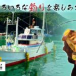 【和歌山】　たいし丸
