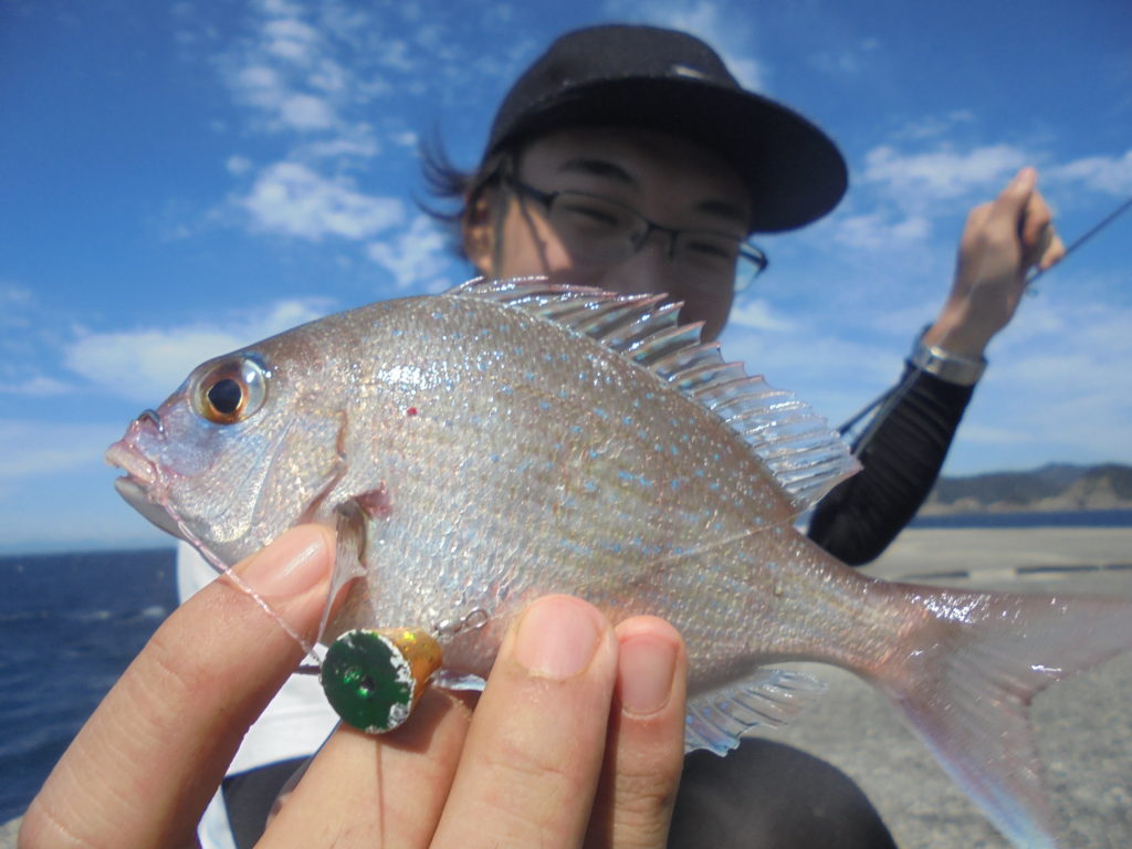 チャリコ（タイの稚魚）