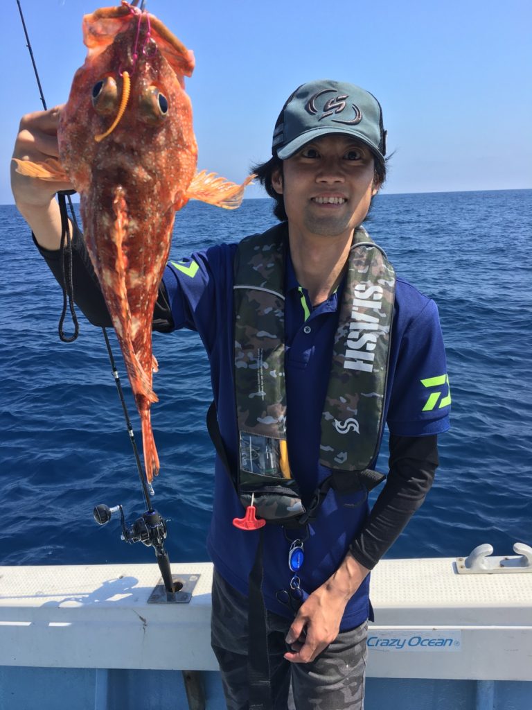 ウッカリカサゴ