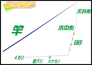 アユの友釣り