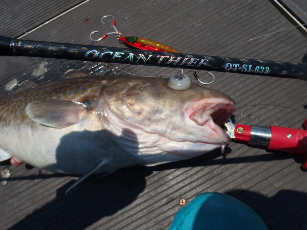 日本海で中深海ジギング 釣り具レジャー用品専門店 アングラーズ Anglers
