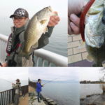 琵琶湖へオカッパリバス釣行してきました
