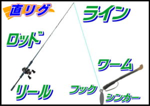 直リグ仕掛（ソルト）