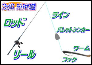 ライトテキサス