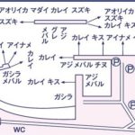 【兵庫】　伊毘新港