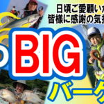 7月１５日（月・祝）まで　夏のＢＩＧバーゲン開催中!!