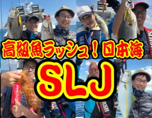 高級魚ラッシュ！日本海ＳＬＪ
