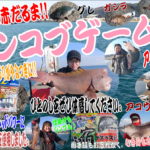 波止タンコブゲーム