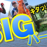 7月12日（日）まで　夏のBIGバーゲン