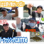 秋の波止釣りを楽しむ　ｉｎ牛窓：前島
