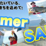 7月11日（日）まで　Summer SALE