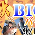 9月12日（日）まで　初秋のBIGバーゲン