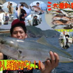 楽釣！瀬戸内かからし釣法！