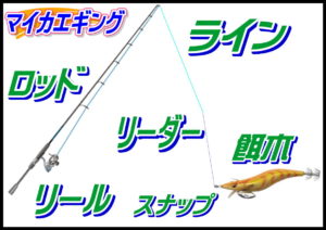 ケンサキエギング
