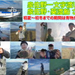 魚種豊富、泉佐野一文字