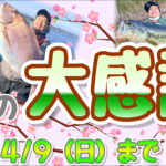 3月16日（木）から4月9日（日）まで　春の大感謝祭