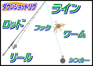 ブラックバス（リアクションダウンショットリグ）