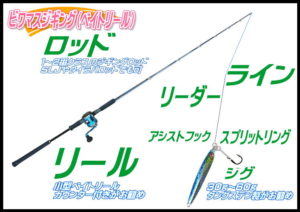 ビワマス（ジギング）