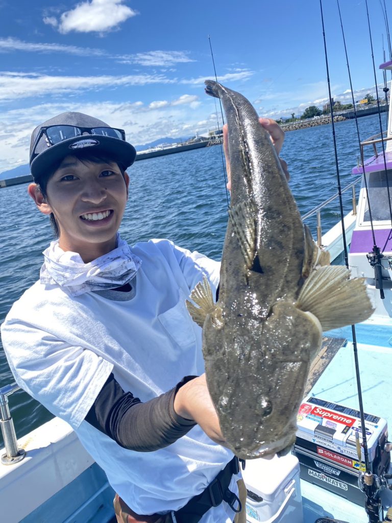 マゴチ