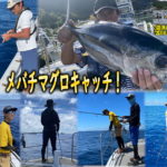 ロマンを求めて~三重紀伊長島マグロジギング