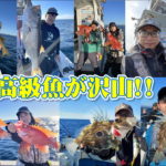 高級魚ザックザク！！ディープノマセ