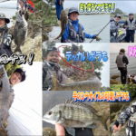 西中渡船地磯でノッコミチヌのフカセ釣り