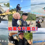 フラットフィッシュ研修