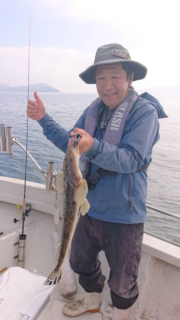マゴチ