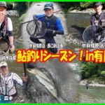 有田川の鮎釣り