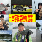 西森渡船　冠者島一文字釣行
