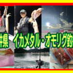 福井県　イカメタル・オモリグ釣行！