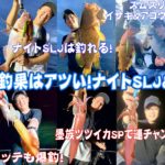 鳥取県　ナイトSLJ＆シロイカ釣行！