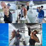 瀬戸内からこと丸アコラバ釣行
