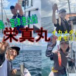 瀬戸内海でイカメタル！淡路島栄真丸イカメタル＆オモリグ