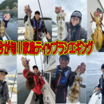 今が旬！！家島ティップラン釣行