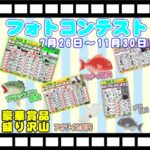 11月30日まで＜2025秋＞フォトコンテスト開催中