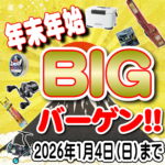 11月20日(木)から1月4日(日)まで BIG年末年始BIGバーゲン