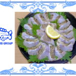 アオハタの炙り刺し