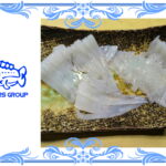 シロイカの刺身