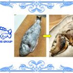 塩釜風ウロコ焼き