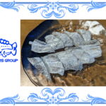 タチウオのきずし