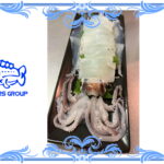 シロイカの姿造り