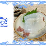 ケンサキイカの刺身