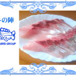 ブリヒラのお造り