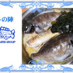 グレとサンバソウとベラの酒蒸し