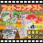 7月25日より11月30日まで＜2026秋＞フォトコンテスト